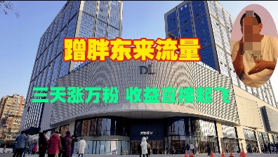 蹭胖东来流量，三天涨万粉，收益直接起飞-雲鼎文化传媒