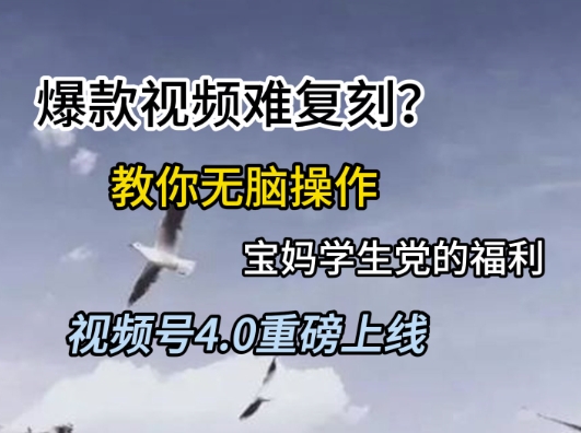 视频号4.0重磅上线，爆款视频难复刻？教你无脑操作宝妈学生党的福利【揭秘】-雲鼎文化传媒