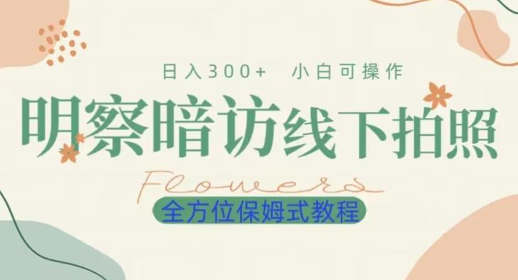 明拍暗拍项目0成本投入日入300+小白可操作保姆式全方位教程-雲鼎文化传媒