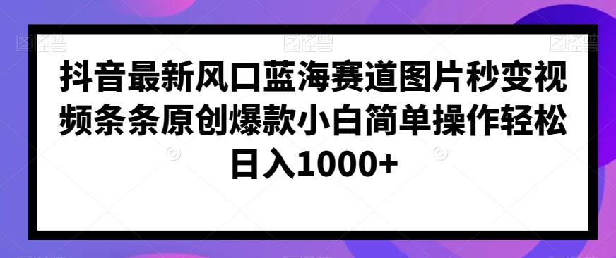抖音最新风口蓝海赛道图片秒变视频条条原创爆款小白简单操作轻松日入1000+-雲鼎文化传媒