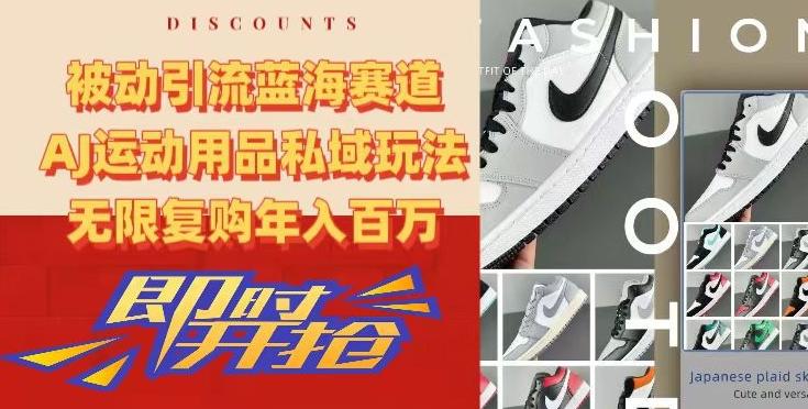 被动引流蓝海赛道，AJ运动用品私域玩法，无限复购年入百万【揭秘】-雲鼎文化传媒