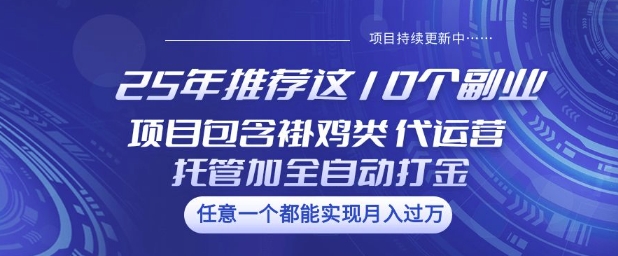 25年推荐这10个副业项目包含褂鸡类、代运营托管类、全自动打金类【揭秘】-雲鼎文化传媒