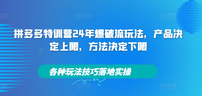 拼多多特训营24年爆破流玩法，产品决定上限，方法决定下限，各种玩法技巧落地实操-雲鼎文化传媒