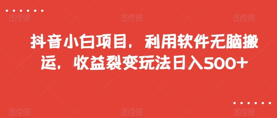 抖音小白项目，利用软件无脑搬运，收益裂变玩法日入500+【揭秘】-雲鼎文化传媒