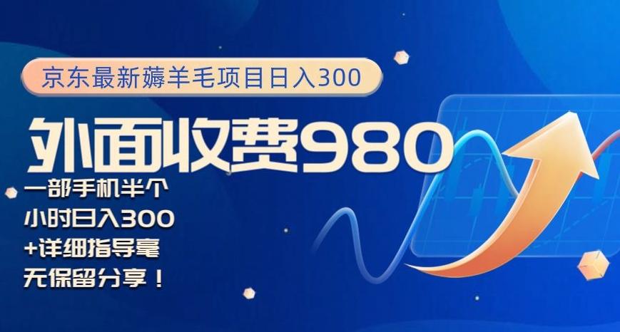 京东最新薅羊毛项目小白怎么做到日入300+一部手机半小时搞定-雲鼎文化传媒