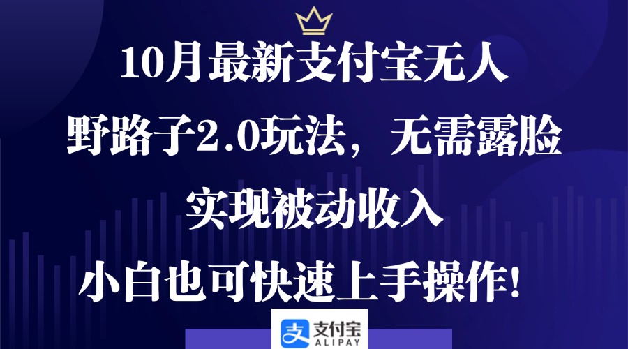 10月最新支付宝无人野路子2.0玩法，无需露脸，实现被动收入，小白也可…-雲鼎文化传媒