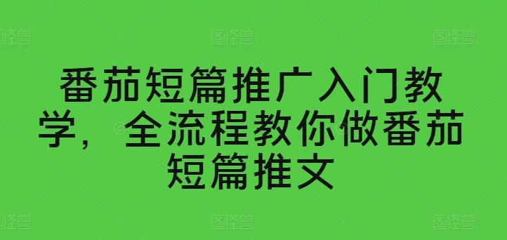 番茄短篇推广入门教学，全流程教你做番茄短篇推文-雲鼎文化传媒