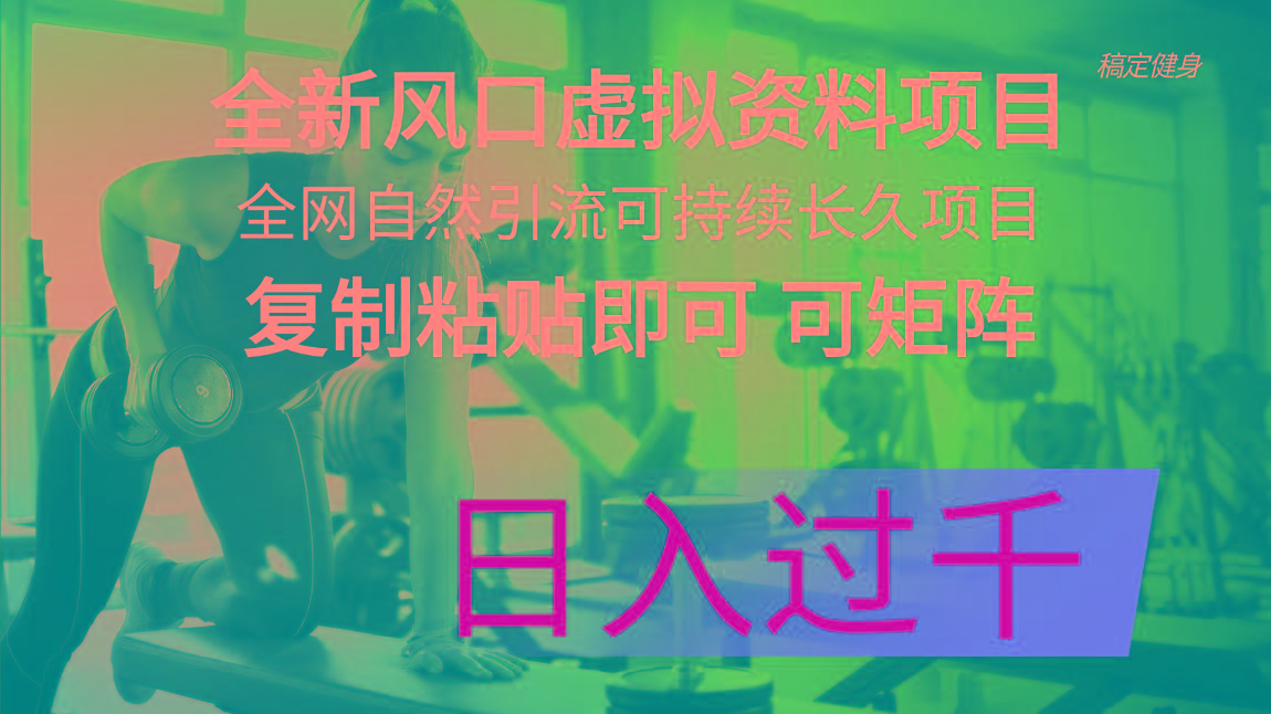 全新风口虚拟资料项目 全网自然引流可持续长久项目 复制粘贴即可可矩阵…-雲鼎文化传媒