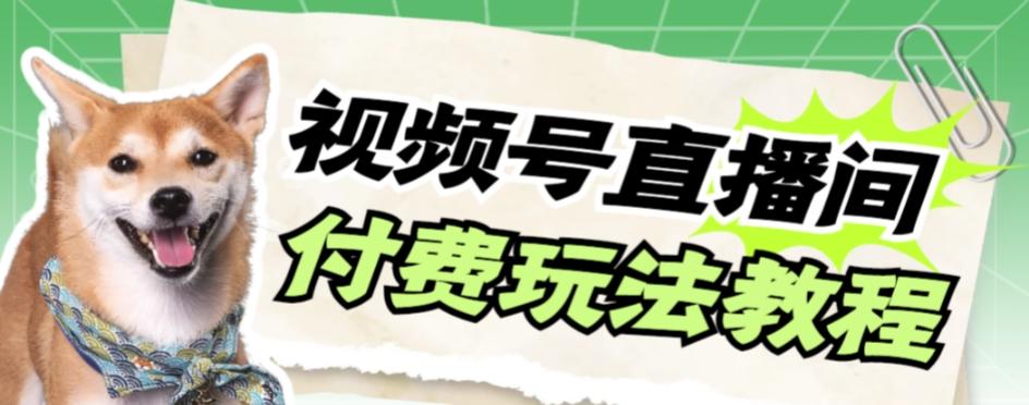 视频号美女付费无人直播，轻松日入500+【详细玩法教程】-雲鼎文化传媒