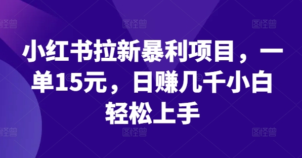 小红书拉新暴利项目，一单15元，日赚几千小白轻松上手【揭秘】-雲鼎文化传媒