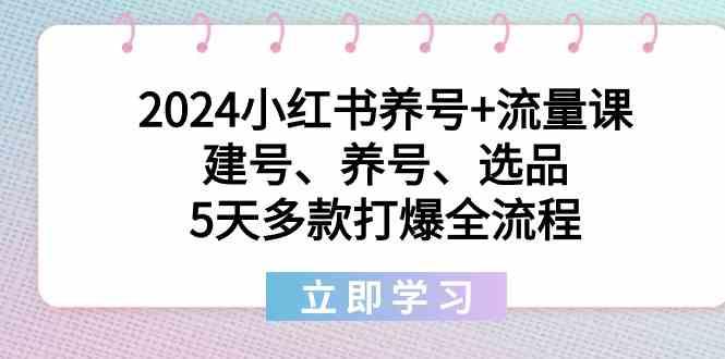2024小红书养号+流量课：建号、养号、选品，5天多款打爆全流程-雲鼎文化传媒
