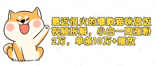 最近很火的爆款猫咪做饭视频拆解，小白一周涨粉2万，单条10万+播放(附保姆级教程)-雲鼎文化传媒