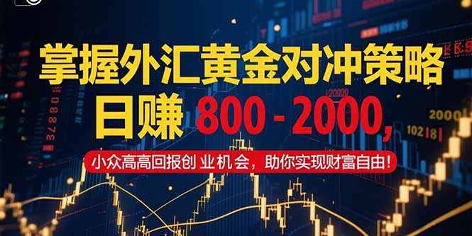 掌握外汇黄金对冲策略，日赚 800 – 2000，小众高回报创业机会，助你实…-雲鼎文化传媒