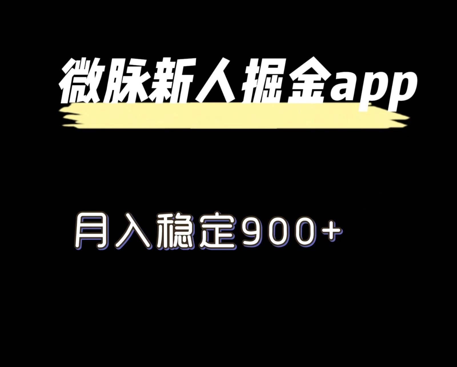最新微脉长久项目，拉新掘金，月入稳定900+-雲鼎文化传媒