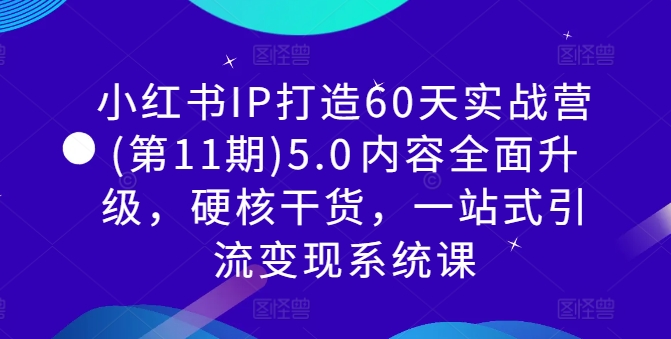 小红书IP打造60天实战营(第11期)5.0​内容全面升级，硬核干货，一站式引流变现系统课-雲鼎文化传媒
