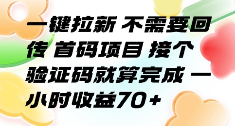 一键拉新 不需要回传 首码项目 接个验证码就算完成 一小时收益70+【揭秘】-雲鼎文化传媒