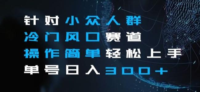 针对小众人群冷门风口赛道，操作简单轻松上手单号日入300+-雲鼎文化传媒