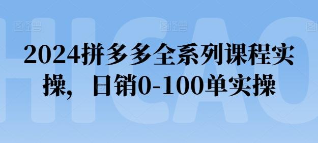 2024拼多多全系列课程实操，日销0-100单实操【必看】-雲鼎文化传媒