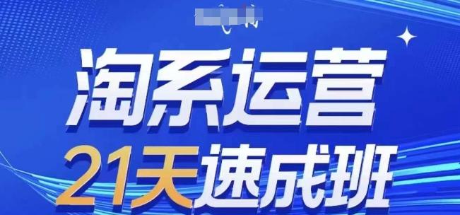 淘系运营21天速成班(更新24年7月)，0基础轻松搞定淘系运营，不做假把式-雲鼎文化传媒