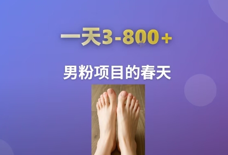 AI一键生成美女素材，一天收益3-8张，男粉项目的春天-雲鼎文化传媒
