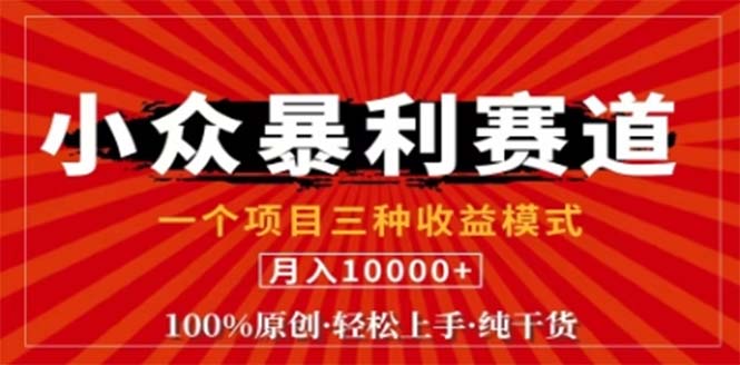 视频号最新爆火赛道，三种可收益模式，0粉新号条条原创条条热门 日入1000+-雲鼎文化传媒