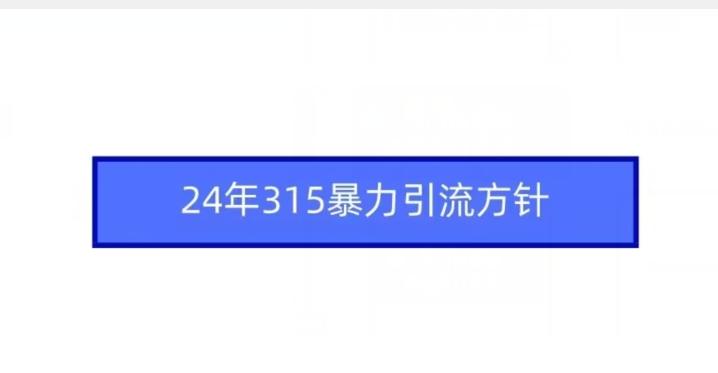 24年315暴力引流方针-雲鼎文化传媒