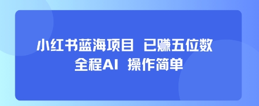 小红书蓝海项目，全程AI，操作简单，已挣五位数-雲鼎文化传媒