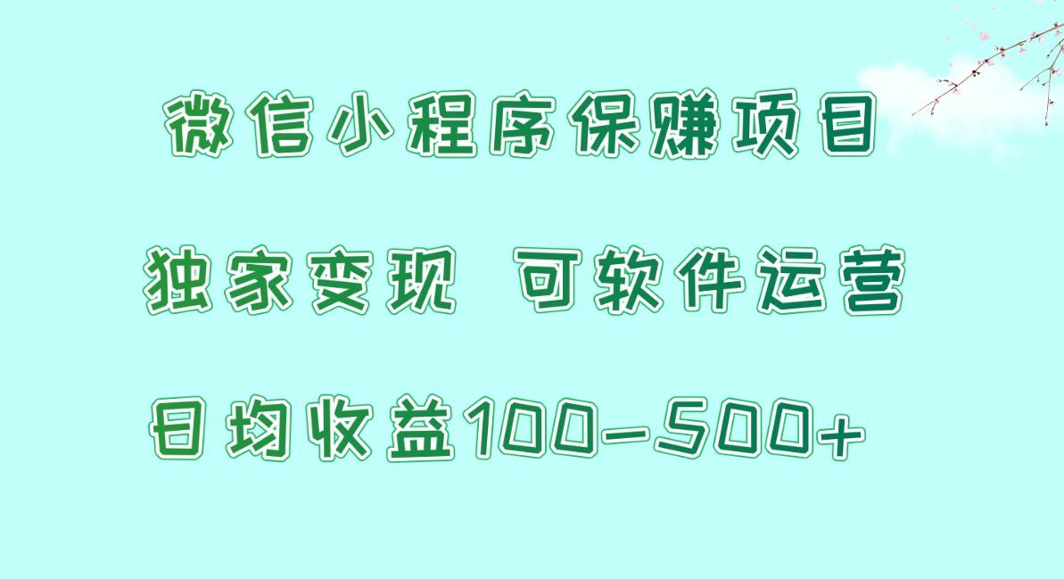微信小程序保赚项目，日均收益100~500+，独家变现，可软件运营-雲鼎文化传媒