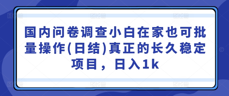 国内问卷调查小白在家也可批量操作(日结)真正的长久稳定项目，日入1k【揭秘】-雲鼎文化传媒