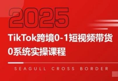 大亿老师·TikTok跨境0-1短视频带货-雲鼎文化传媒