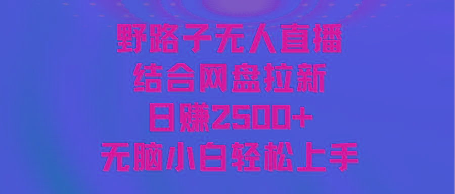 无人直播野路子结合网盘拉新，日赚2500+多平台变现，小白无脑轻松上手操作-雲鼎文化传媒