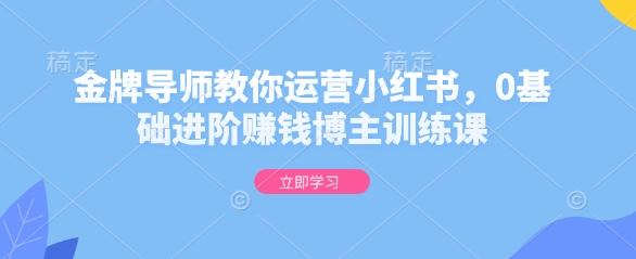 金牌导师教你运营小红书，0基础进阶赚钱博主训练课-雲鼎文化传媒