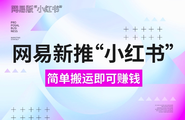 网易官方新推“小红书”，搬运即有收益，新手小白千万别错过(附详细教程)【揭秘】-雲鼎文化传媒