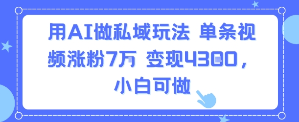 用AI做私域玩法，单条视频涨粉7W变现4.3k，小白可做-雲鼎文化传媒