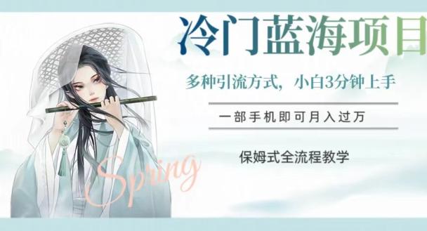 冷门蓝海项目，操作简单，小白3分钟上手，多种引流方式，保姆式全流程教学【揭秘】-雲鼎文化传媒
