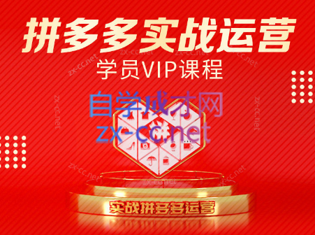 推易电商·拼多多实战运营课(更新2025月)-雲鼎文化传媒