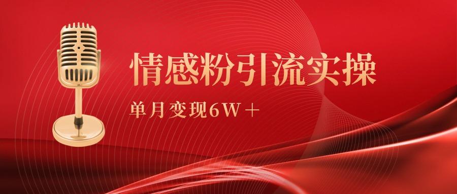 (9473期)单月变现6w+，情感粉引流变现实操课-雲鼎文化传媒