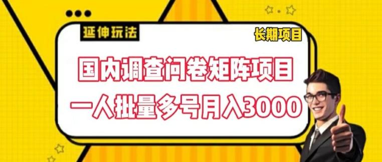 国内调查问卷矩阵项目，一人批量多号月入3000【揭秘】-雲鼎文化传媒