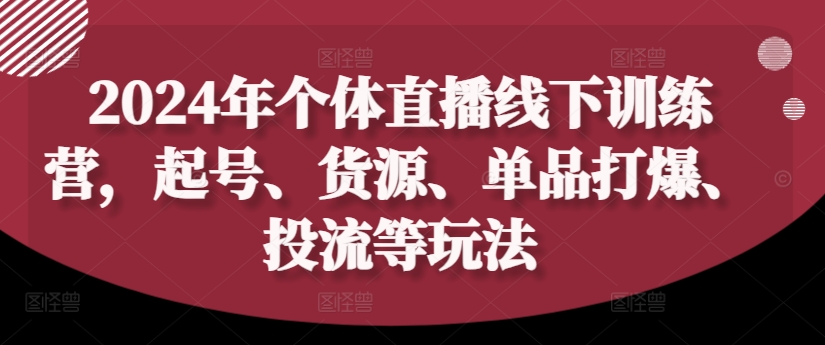 2024年个体直播训练营，起号、货源、单品打爆、投流等玩法-雲鼎文化传媒