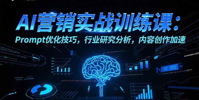 AI营销实战训练课：Prompt优化技巧，行业研究分析，内容创作加速-雲鼎文化传媒