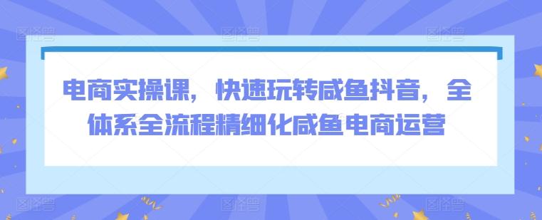 电商实操课，快速玩转咸鱼抖音，全体系全流程精细化咸鱼电商运营-雲鼎文化传媒