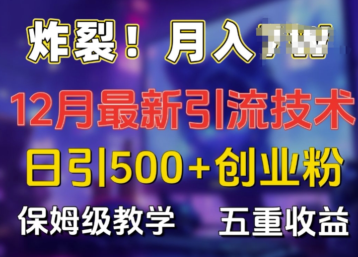 炸裂!揭秘12月最新日引流500+精准创业粉，多重收益保姆级教学-雲鼎文化传媒