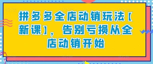 拼多多全店动销玩法【新课】，告别亏损从全店动销开始-雲鼎文化传媒