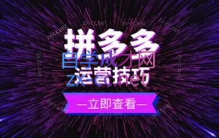 力辛电商·拼多多强付费店群玩法-雲鼎文化传媒