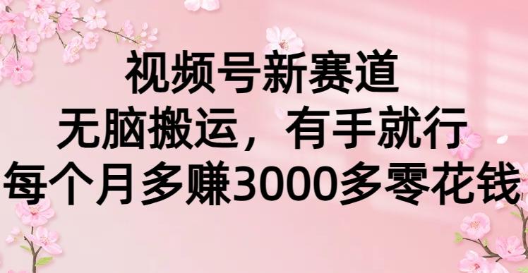 (9278期)视频号新赛道，无脑搬运，有手就行，每个月多赚3000多零花钱-雲鼎文化传媒