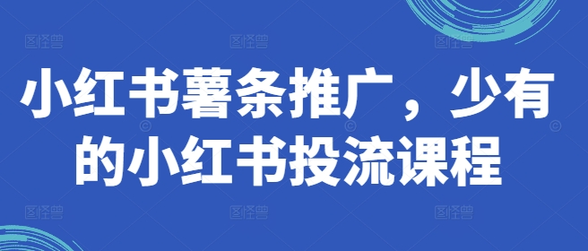 小红书薯条推广，少有的小红书投流课程-雲鼎文化传媒