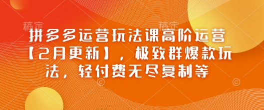 拼多多运营玩法课高阶运营【2月更新】，极致群爆款玩法，轻付费无尽复制等-雲鼎文化传媒