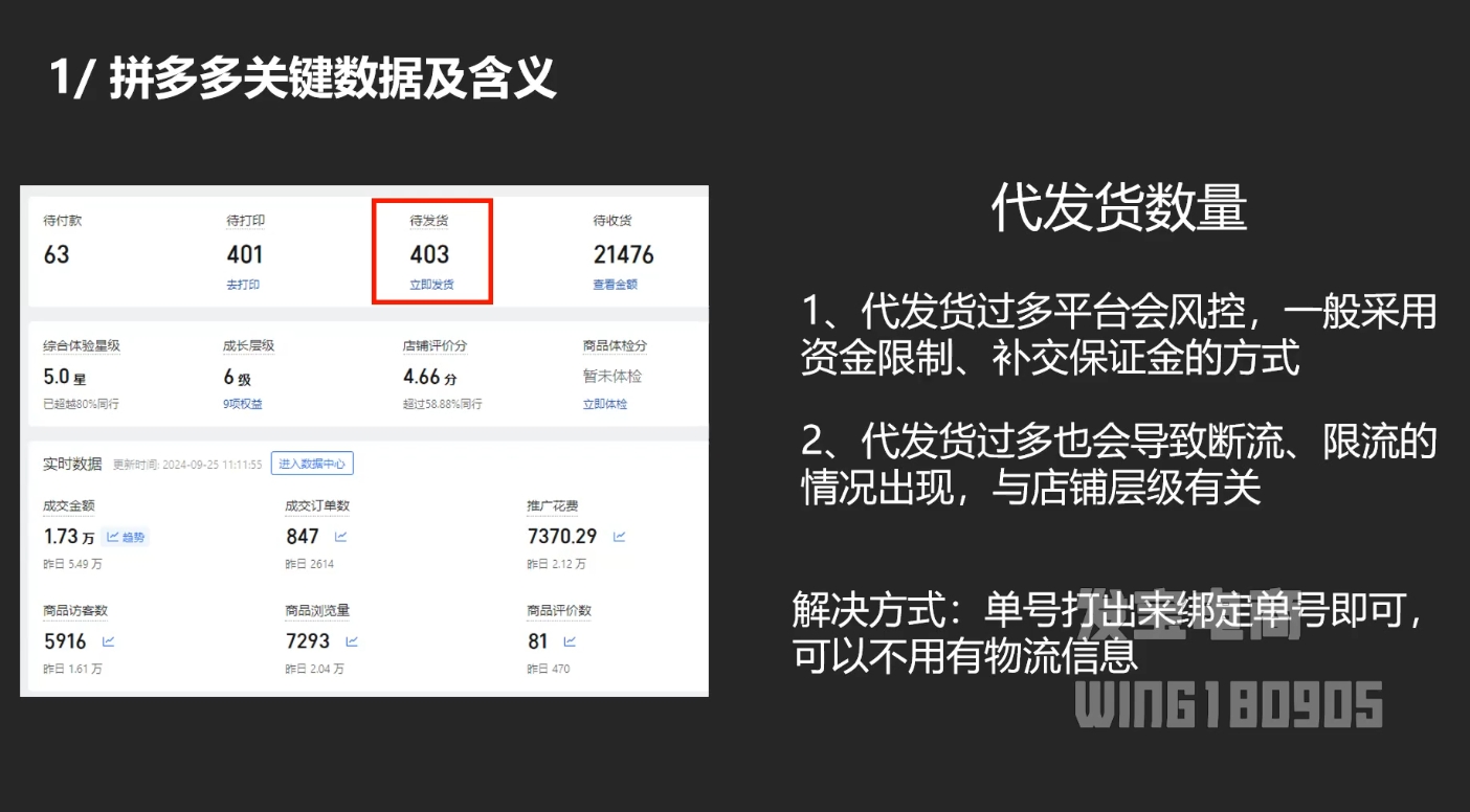 纪主任·拼多多年费会员(更新2025年1月)-雲鼎文化传媒