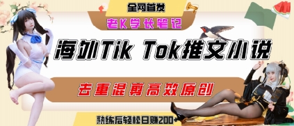 海外tiktok小说推文暴力项目，高停留率，高转化率，上手后一天搞顿饭钱不是问题-雲鼎文化传媒