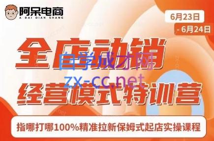阿呆电商·全店动销经营模式特训营(线下录音+思维导图)-雲鼎文化传媒